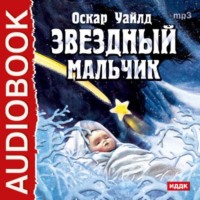 Звездный мальчик. Волшебные башмаки (спектакли)