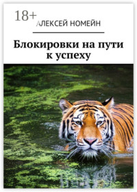 Блокировки на пути к успеху