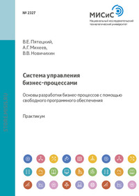 Система управления бизнес-процессами. Основы разработки бизнес-процессов с помощью свободного программного обеспечения