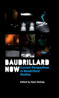 Baudrillard Now. Current Perspectives in Baudrillard Studies