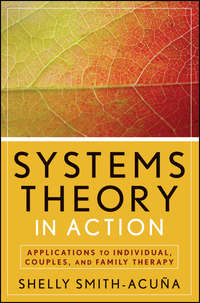 Systems Theory in Action. Applications to Individual, Couple, and Family Therapy