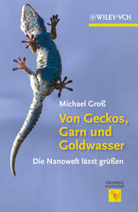 Von Geckos, Garn und Goldwasser. Die Nanowelt lässt grüßen