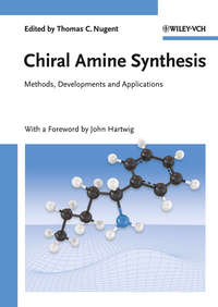 Chiral Amine Synthesis. Methods, Developments and Applications