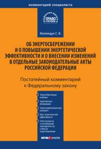 Комментарий к Федеральному закону «Об энергосбережении и о повышении энергетической эффективности и о внесении изменений в отдельные законодательные акты Российской Федерации» (постатейный)