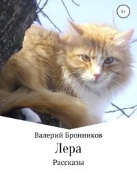 Лера. Сборник рассказов