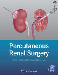 Percutaneous Renal Surgery