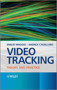 Video Tracking. Theory and Practice