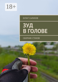 Зуд в голове. Сборник стихов