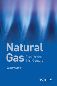 Natural Gas. Fuel for the 21st Century