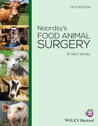 Noordsy&apos;s Food Animal Surgery