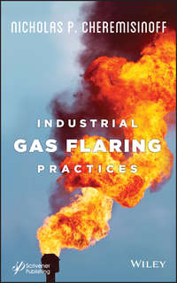 Industrial Gas Flaring Practices