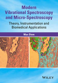 Modern Vibrational Spectroscopy and Micro-Spectroscopy. Theory, Instrumentation and Biomedical Applications