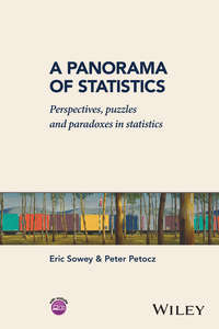 A Panorama of Statistics. Perspectives, Puzzles and Paradoxes in Statistics