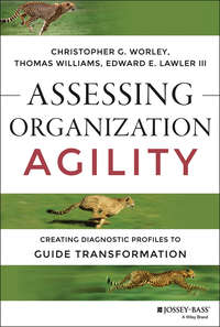 Assessing Organization Agility. Creating Diagnostic Profiles to Guide Transformation