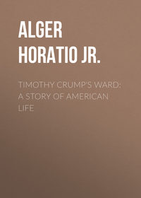 Timothy Crump's Ward: A Story of American Life