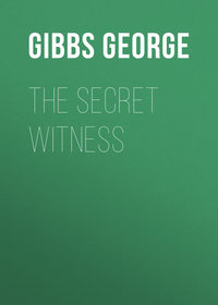 The Secret Witness