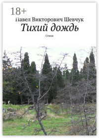 Тихий дождь. Стихи