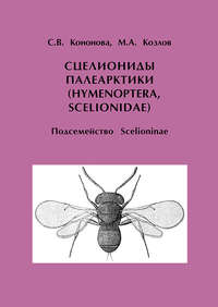 Сцелиониды Палеарктики (Hymenoptera, Scelionidae). Подсемейство Scelioninae