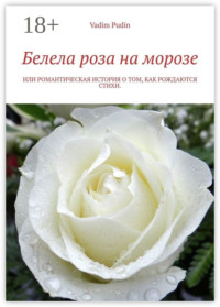 Белела роза на морозе. Или романтическая история о том, как рождаются стихи