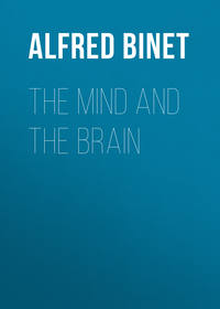 The Mind and the Brain