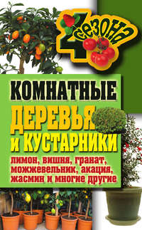 Комнатные деревья и кустарники: лимон, вишня, гранат, можжевельник, акация, жасмин и многие другие