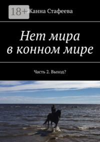 Нет мира в конном мире. Часть 2. Выход?