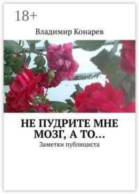 Не пудрите мне мозг, а то… Заметки публициста