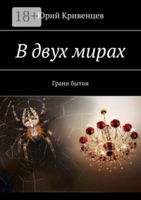 В двух мирах. Грани бытия