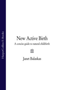 New Active Birth: A Concise Guide to Natural Childbirth