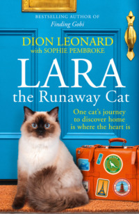 Lara The Runaway Cat: One cat’s journey to discover home is where the heart is