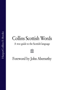 Collins Scottish Words: A wee guide to the Scottish language