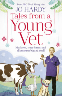 Tales from a Young Vet: Mad cows, crazy kittens, and all creatures big and small