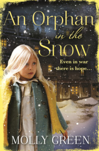 An Orphan in the Snow: The heart-warming saga you need to read this year