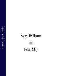 Sky Trillium