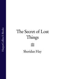 The Secret of Lost Things