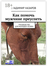 Как помочь мужчине преуспеть. Руководство для молодых хозяек