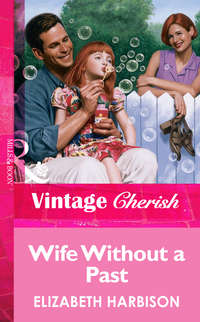 Wife Without a Past