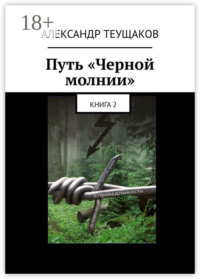 Путь «Черной молнии». Книга 2