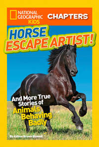 National Geographic Kids Chapters: Horse Escape Artist: And More True Stories of Animals Behaving Badly