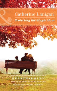 Protecting The Single Mom