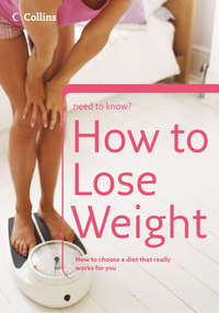 How to Lose Weight