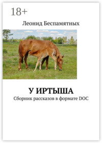 У Иртыша. Сборник рассказов в формате DOC