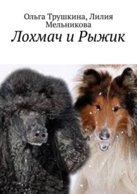 Лохмач и Рыжик