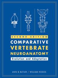 Comparative Vertebrate Neuroanatomy