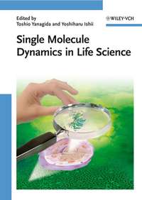 Single Molecule Dynamics in Life Science