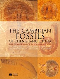 The Cambrian Fossils of Chengjiang, China