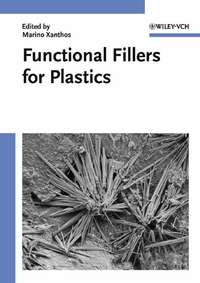 Functional Fillers for Plastics