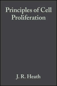 Principles of Cell Proliferation