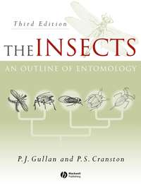 The Insects