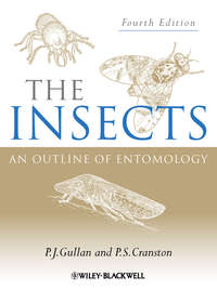 The Insects